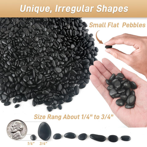 Mulctun polished black pebbles – smooth decorative stones for vases and pots.