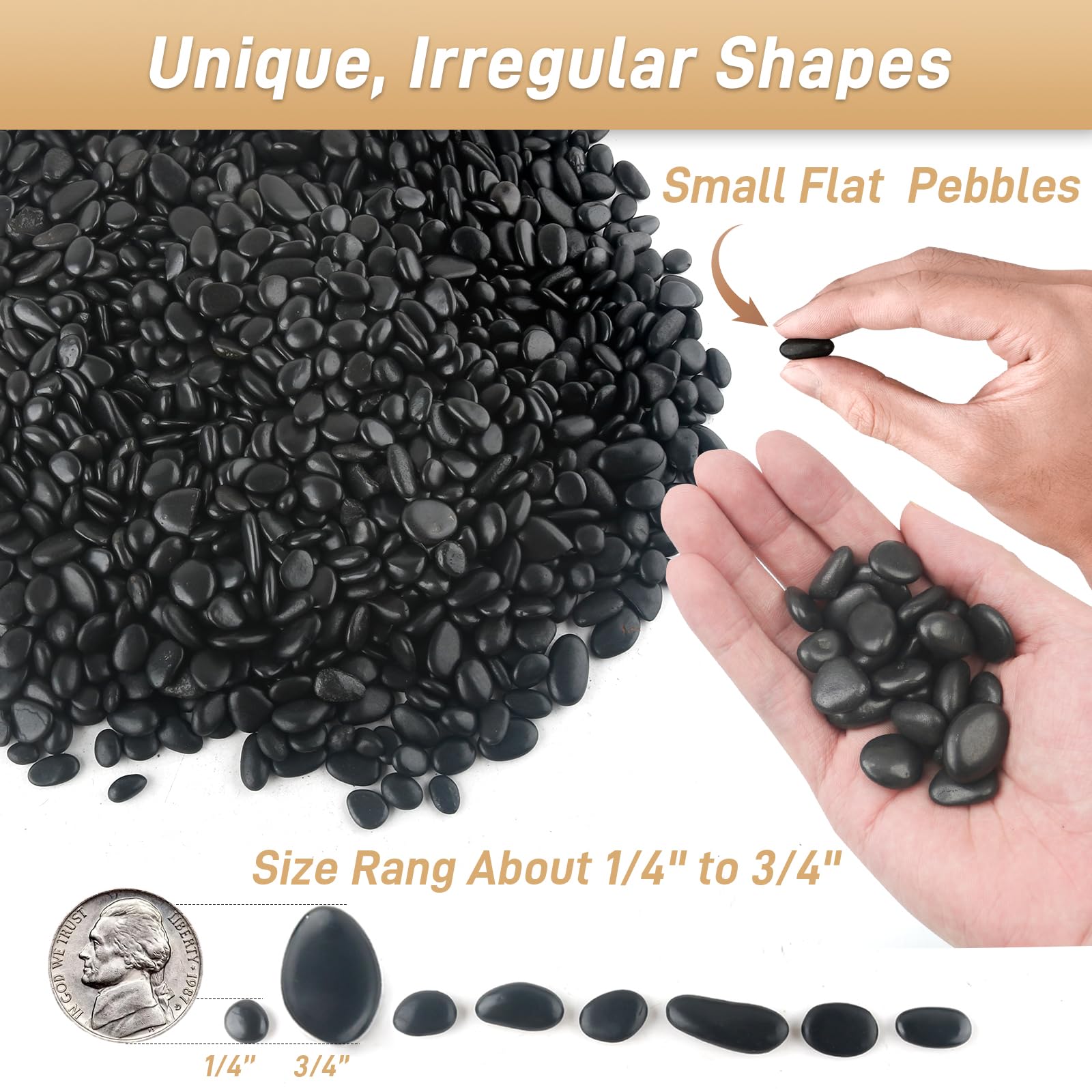 Mulctun polished black pebbles provide smooth, durable decorative accents.