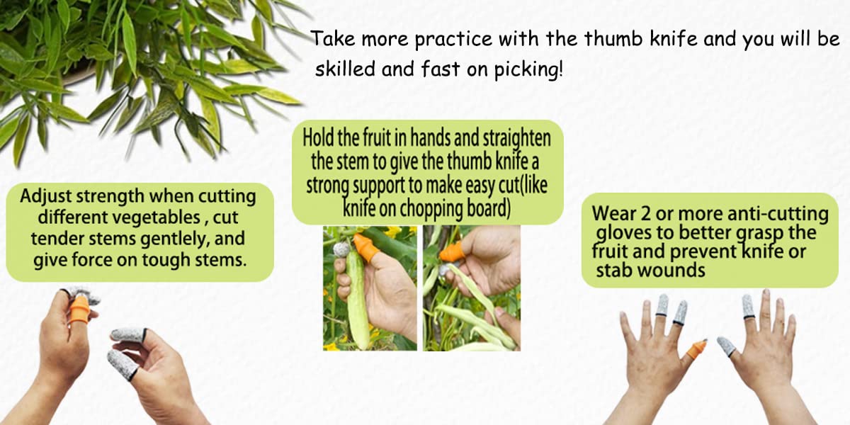 Mulenn garden tools gift set ideal for gardeners and kitchen prep.