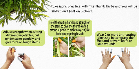 Mulenn garden tools gift set ideal for gardeners and kitchen prep.