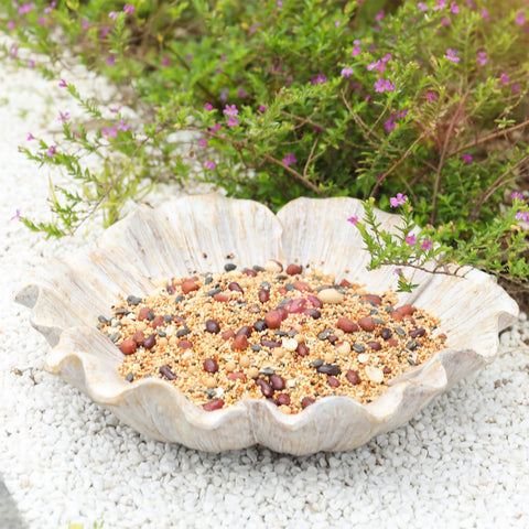 MUMTOP antique resin bird bath with weather-resistant finish suits year-round garden use.