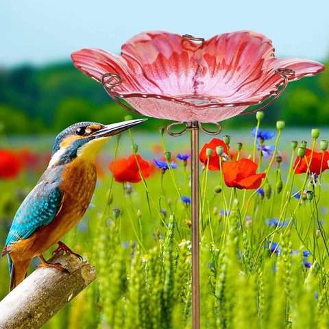 MUMTOP outdoor bird bath setup blends with garden decor and invites feathered visits
