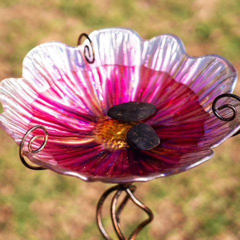 MUMTOP outdoor garden birdbath setup in a sunny yard