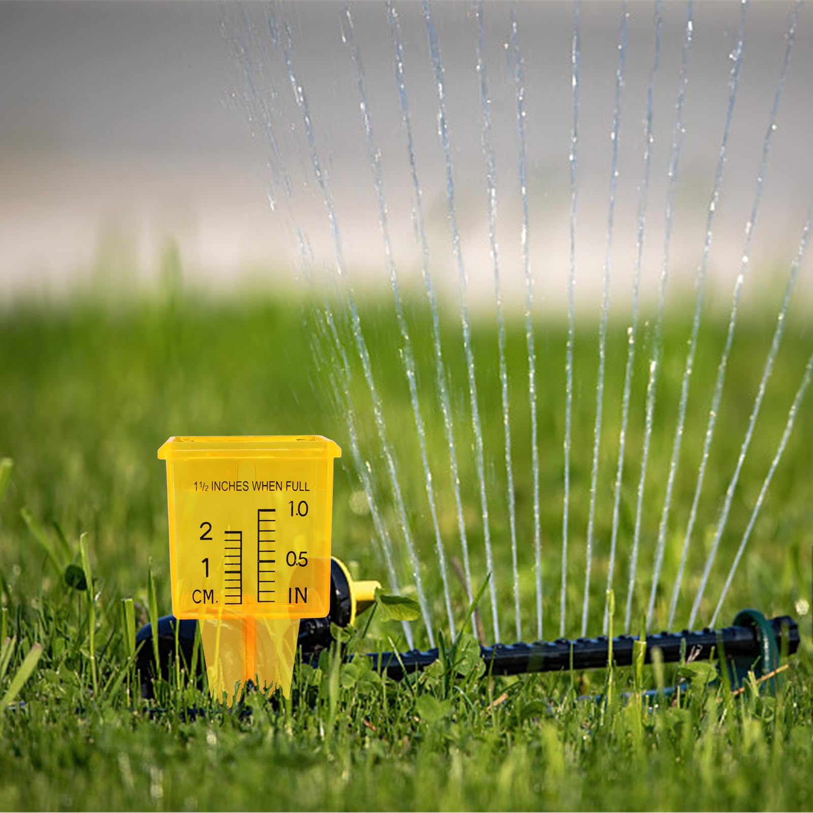 MUMTOP 10-pack of yellow rain gauges for lawn and garden monitoring