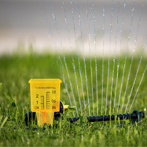 MUMTOP 10-pack of yellow rain gauges for lawn and garden monitoring