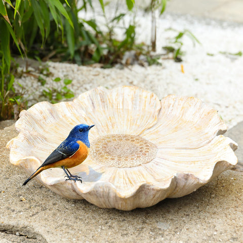 MUMTOP easy-to-clean bird bath stays pristine while inviting birds.