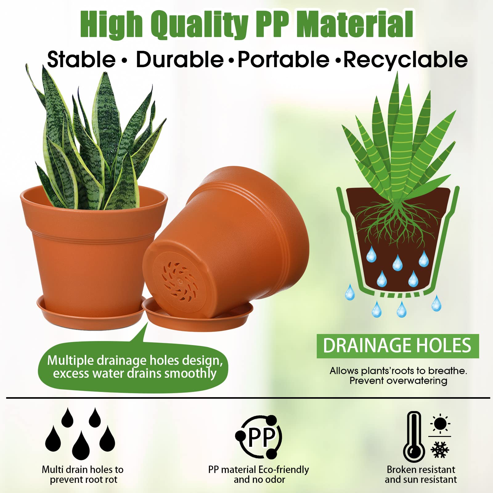 Mumufy 4-inch succulent pot with drainage prevents overwatering and promotes healthy root growth.