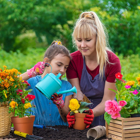 Mumufy 4-inch seed-starting pot supports early germination in homes or nurseries.