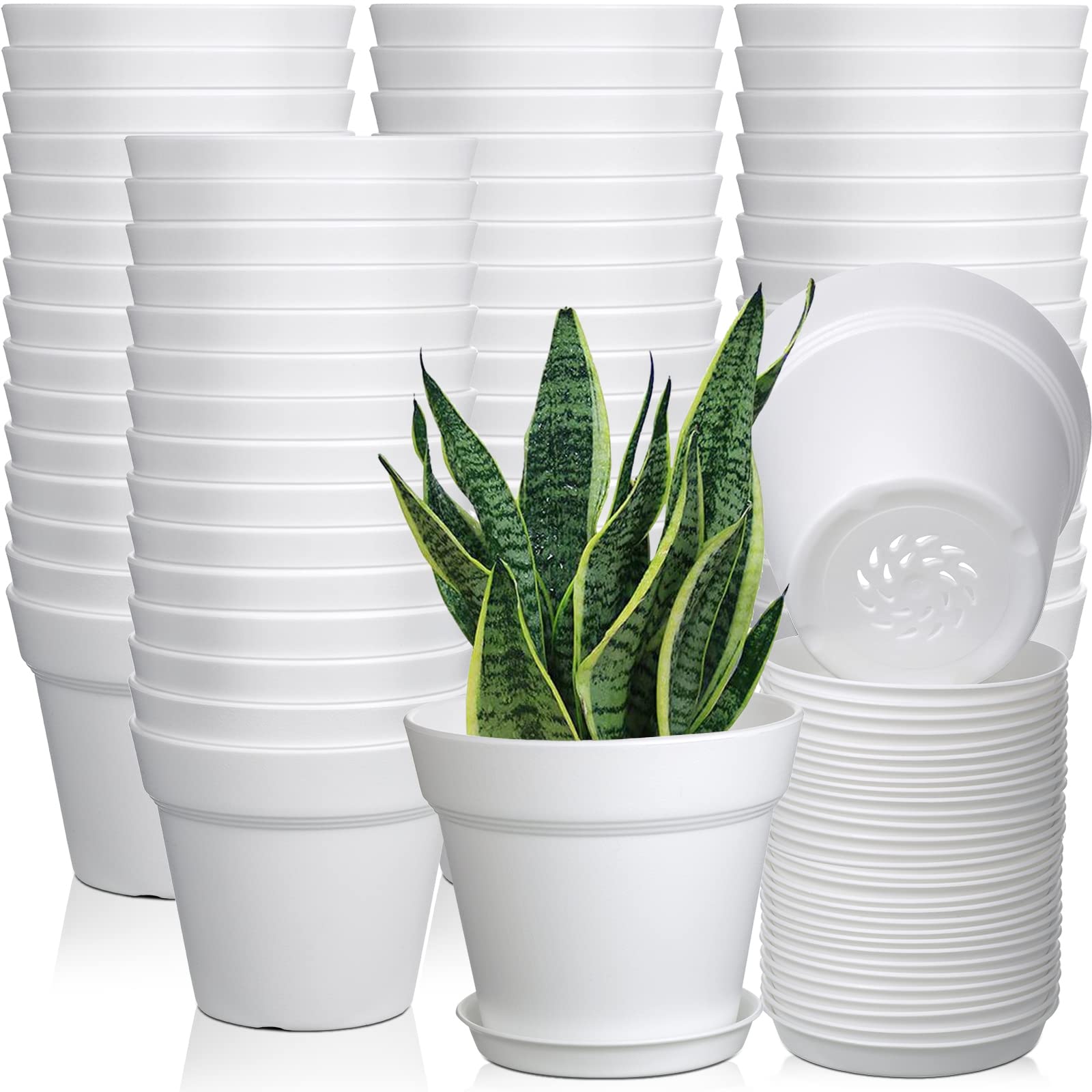 Mumufy 54-pack 4-inch plant pots for seedlings and small plants.