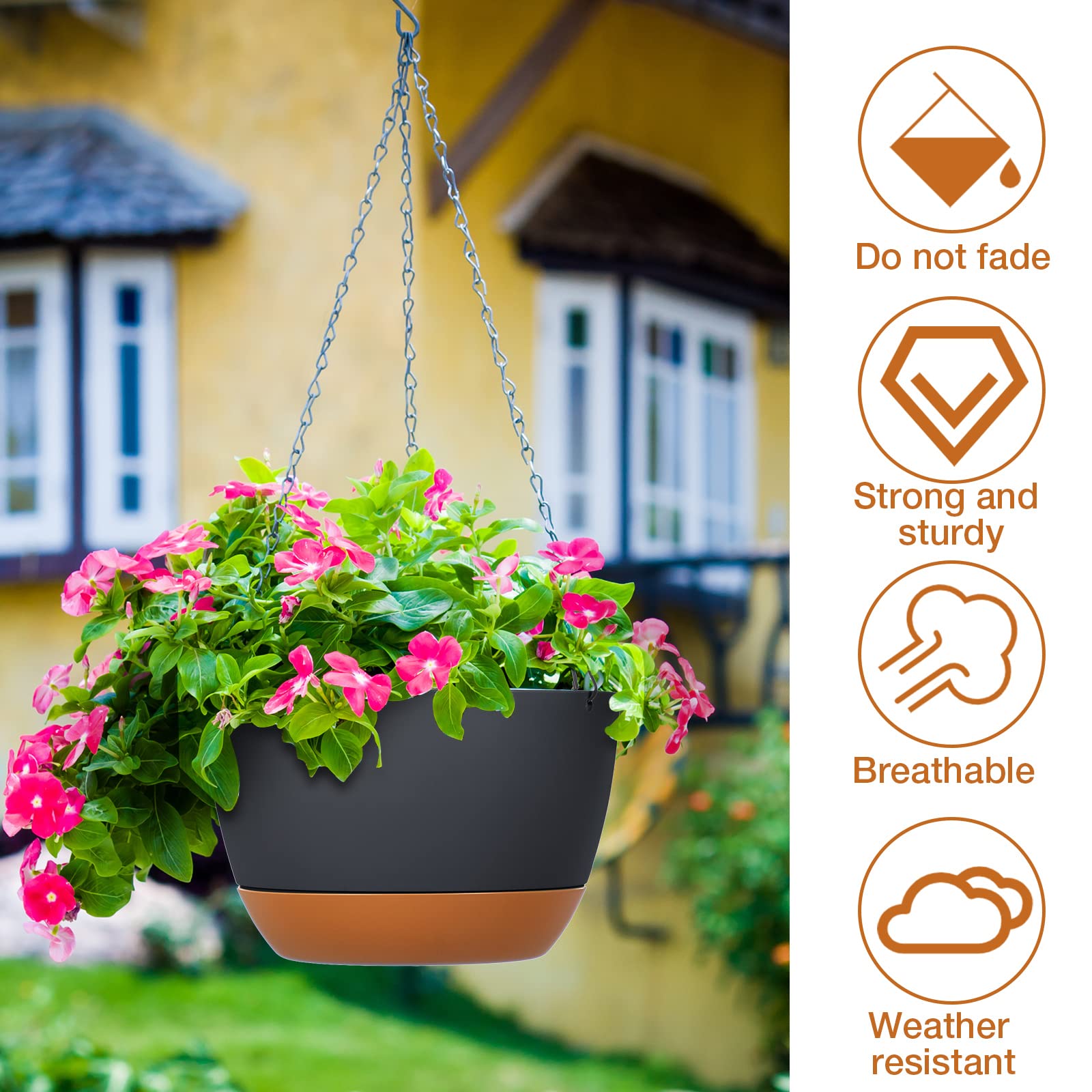 Mumufy 6pc planters suitable for indoors or outdoors to brighten spaces.