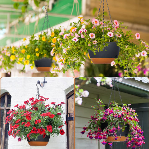 Mumufy 6-pack provides reliable, lightweight planters ideal for sharing.