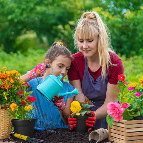 Mumufy seed-starting pots are ready for nursery or garden projects.