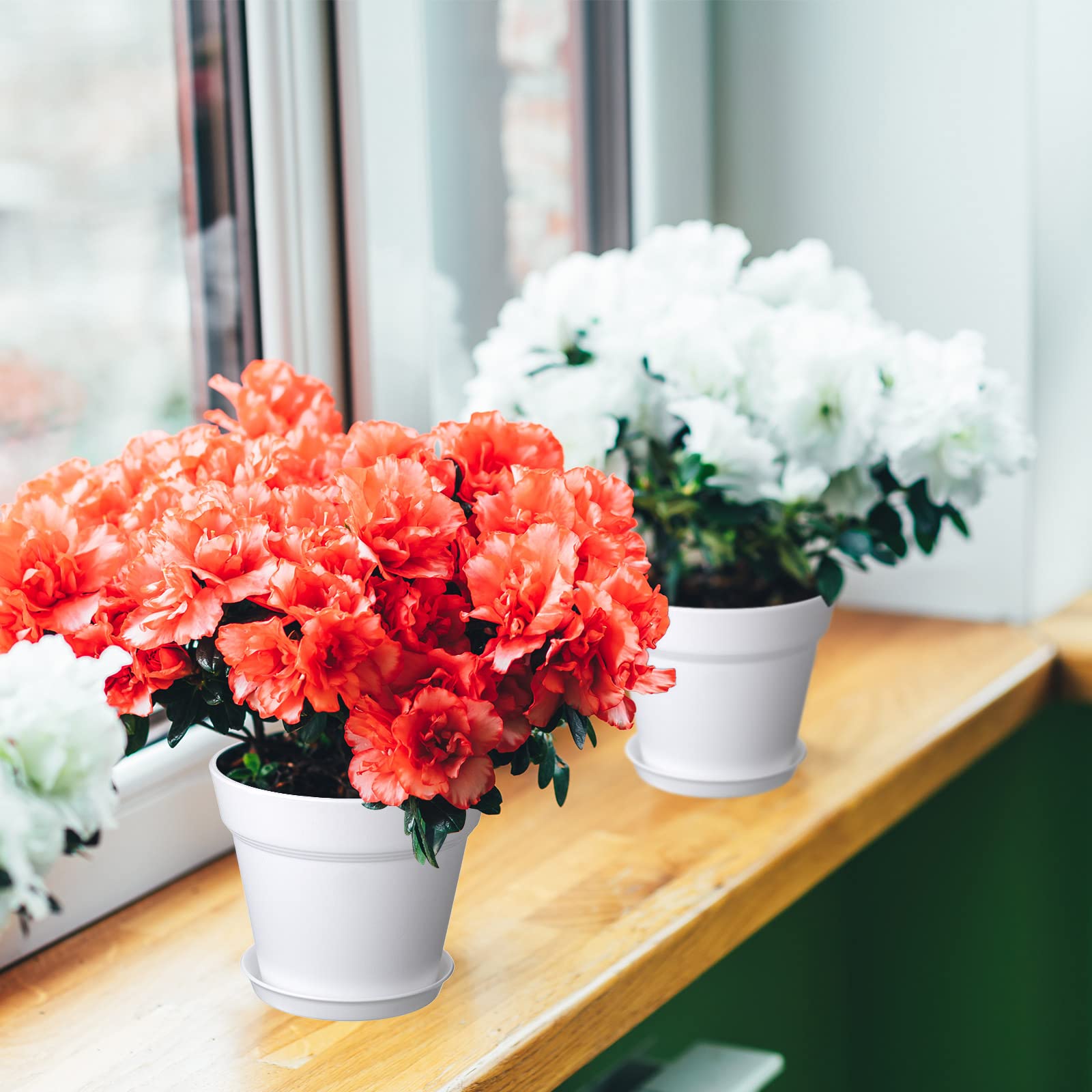 Mumufy small pots ideal for succulents, herbs, and flowers.