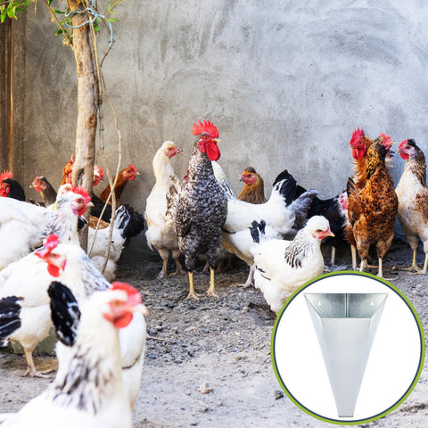 Mumufy versatile set supports chickens, turkeys, and ducks