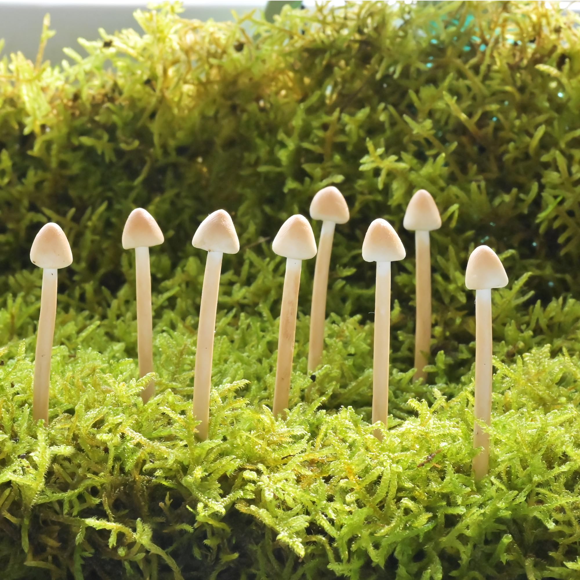 Mumutie 8-pack handmade clay mushrooms for miniature landscapes and fairy gardens.