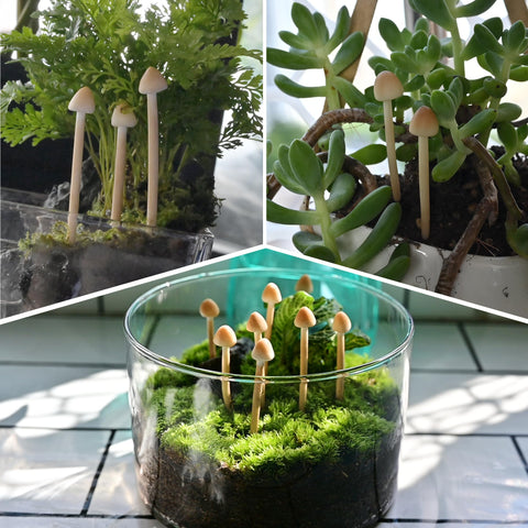 Mumutie fairy garden desk decor mushrooms enhance tabletop displays.