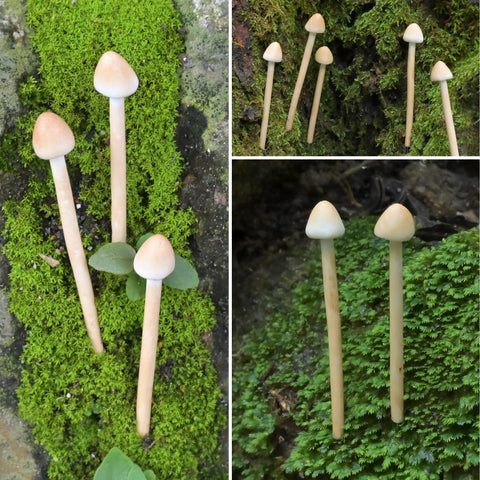Mumutie glass jar mini mushrooms fit charming jar displays.