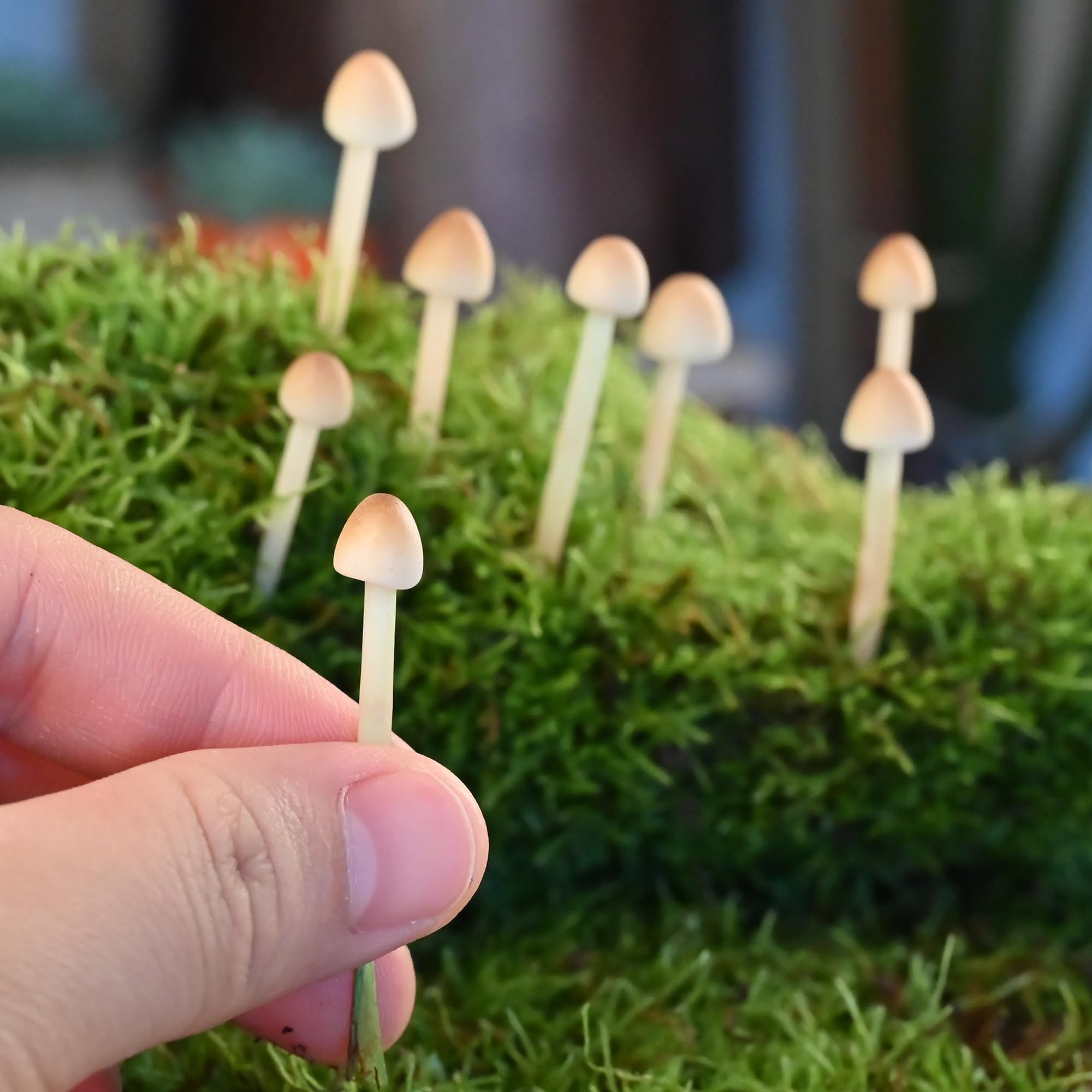 Mumutie miniature mushroom for DIY garden scenes and miniatures.