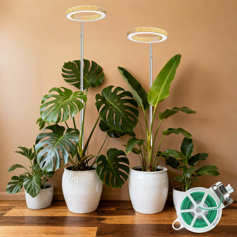 MUSELUCE grow light setup with plants illustrating home indoor gardening