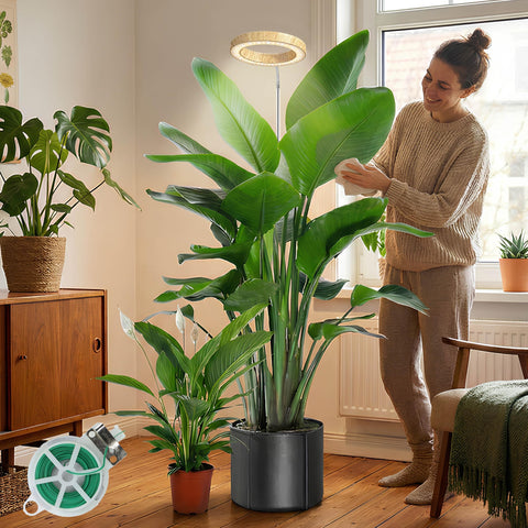 MUSELUCE woodgrain grow light full spectrum supports healthy seedlings and vibrant leaves.