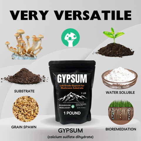 Mushroom Merchant gypsum powder with 97% purity for easy mixing and reliable results.