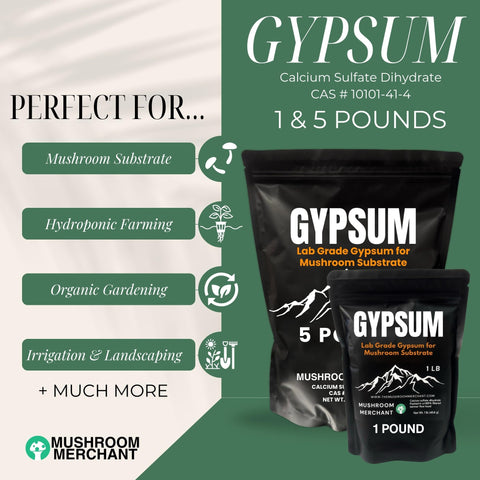 Mushroom Merchant ultra-fine gypsum powder enhances substrate moisture distribution.