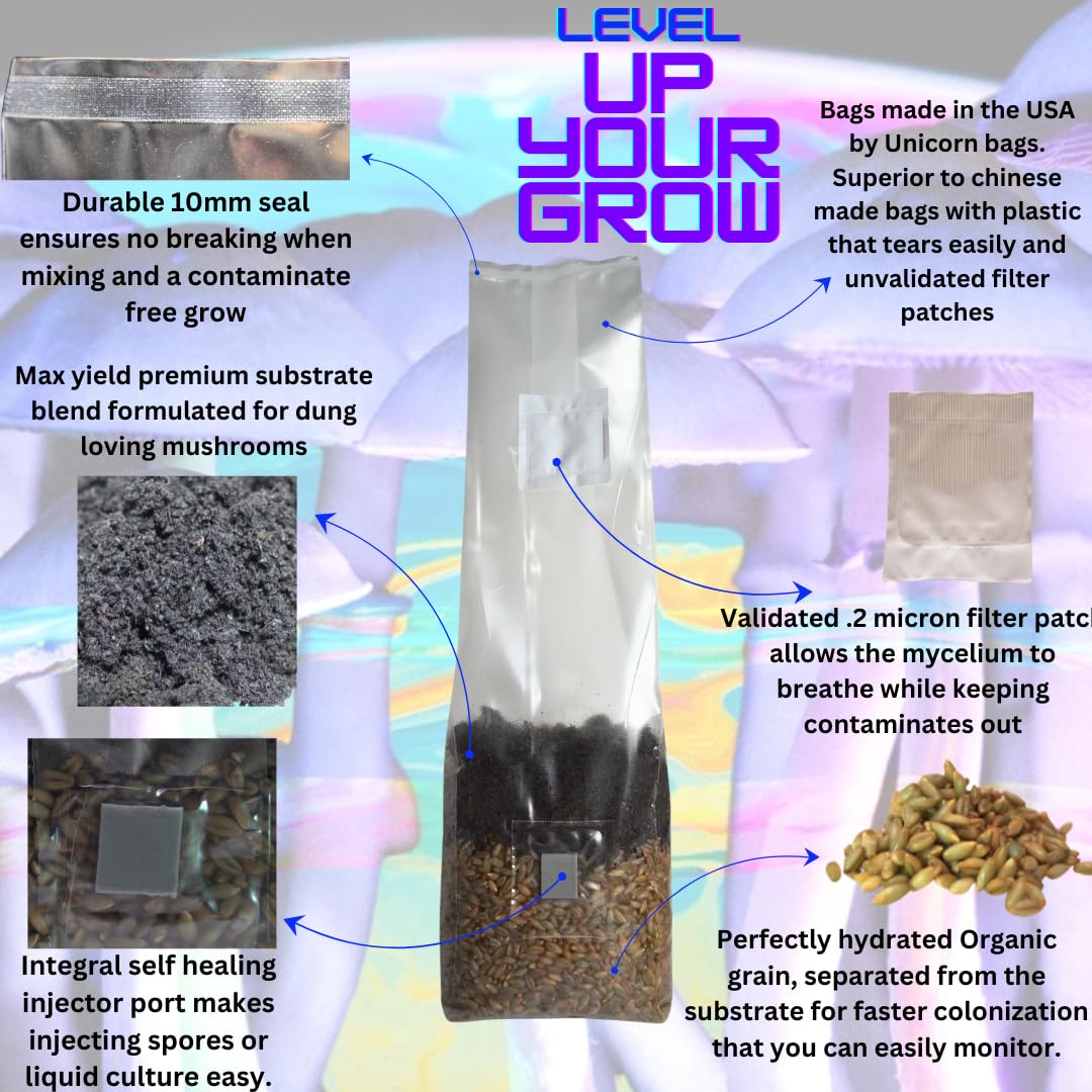 MushroomSpawnStore All-In-One grow bags in-bag setup enabling easy at-home cultivation.