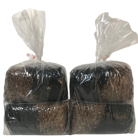 MushroomSpawnStore grow bag in-use for indoor mushroom cultivation setup.