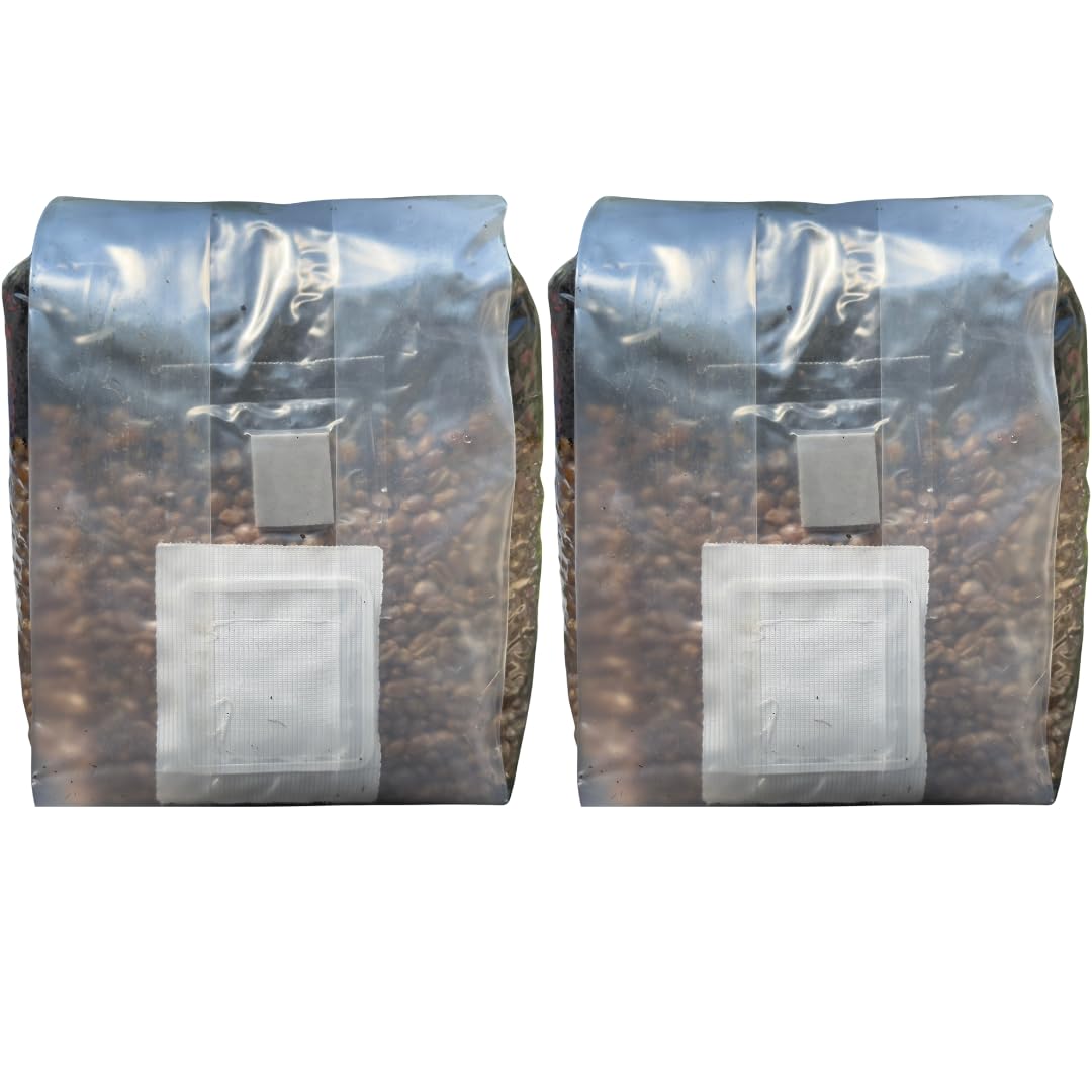 MushroomSpawnStore all-in-one grow bags ready for easy at-home cultivation.