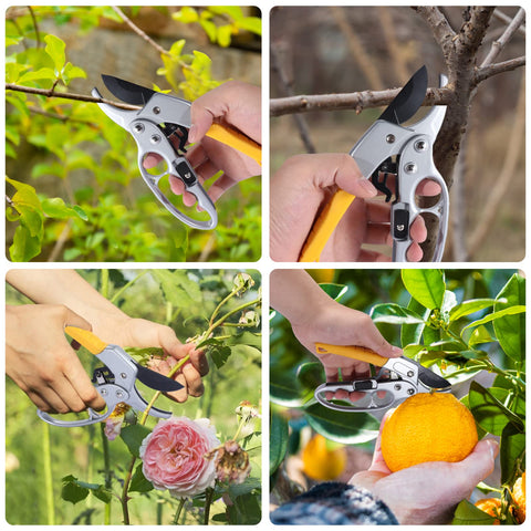 MUSTKING MEPEREZ rose pruning close-up demonstrates precision trimming and clean cuts.