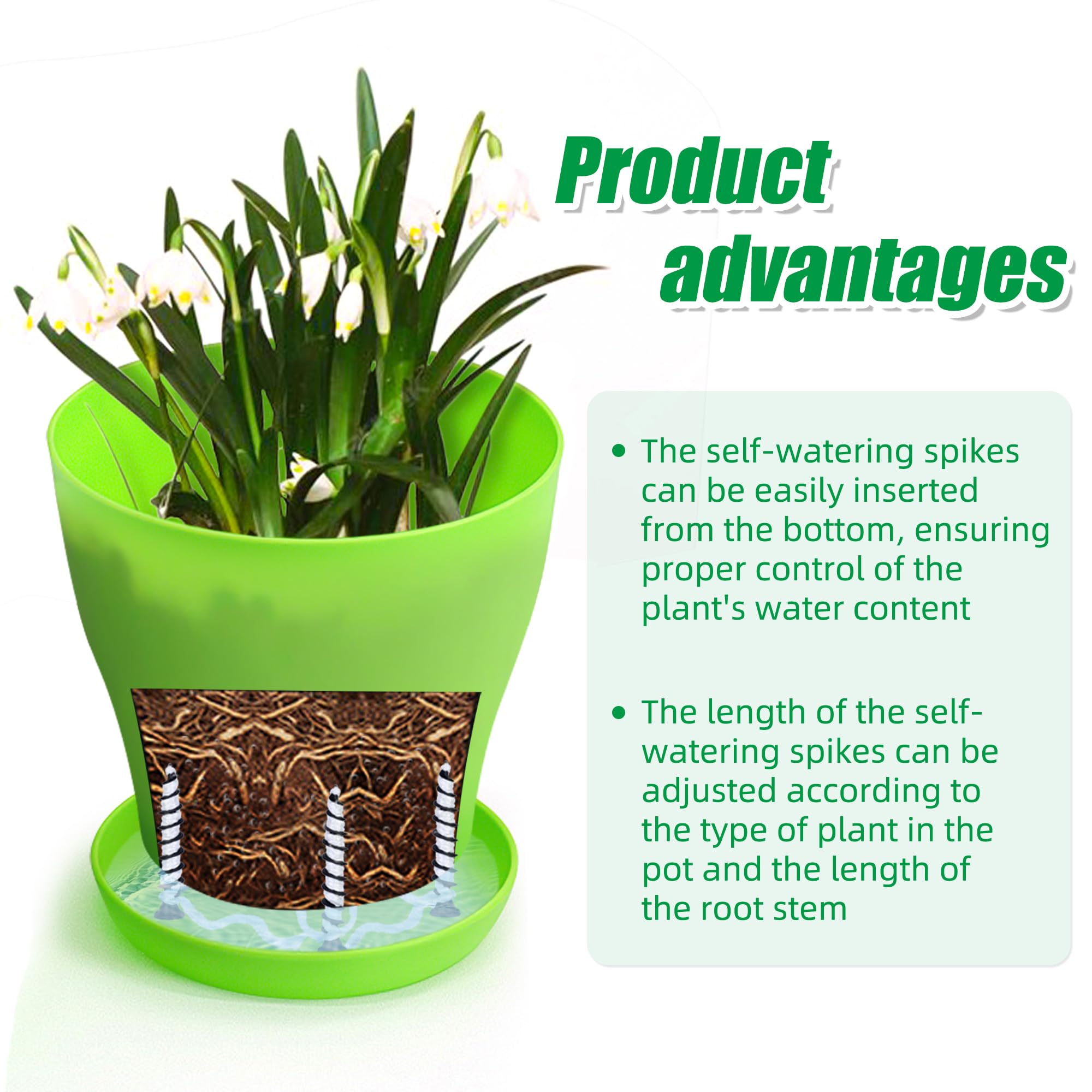 Muximud watering spikes setup for effortless plant care at home.