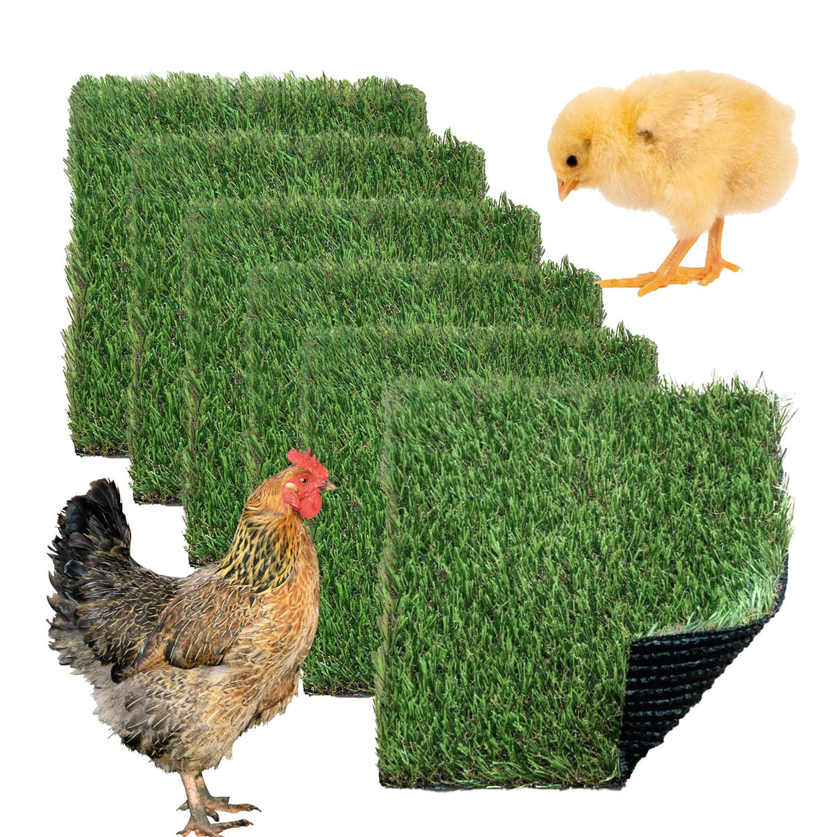 MUYG chickens nesting pads six-pack for easy coop cleaning