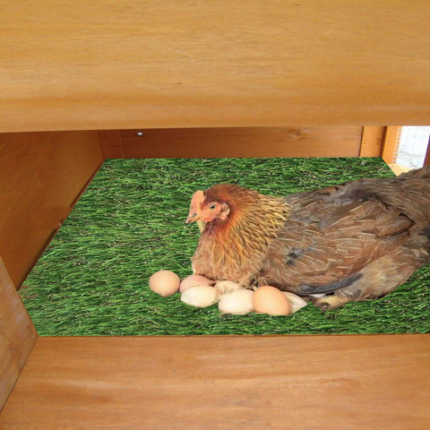 MUYG nesting box pads with grass mats for reuse and savings