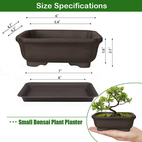 MUZHI humidity trays included to maintain consistent moisture for starter bonsai.