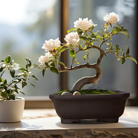MUZHI compact exterior fits small bonsai seedlings and compact planters.