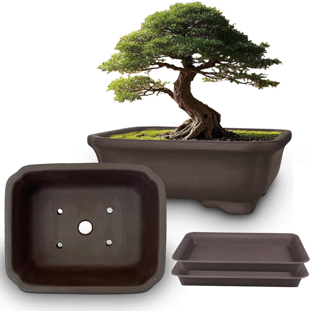 MUZHI 2PACK unglazed 6-inch bonsai pot with breathable purple clay for healthy root airflow.