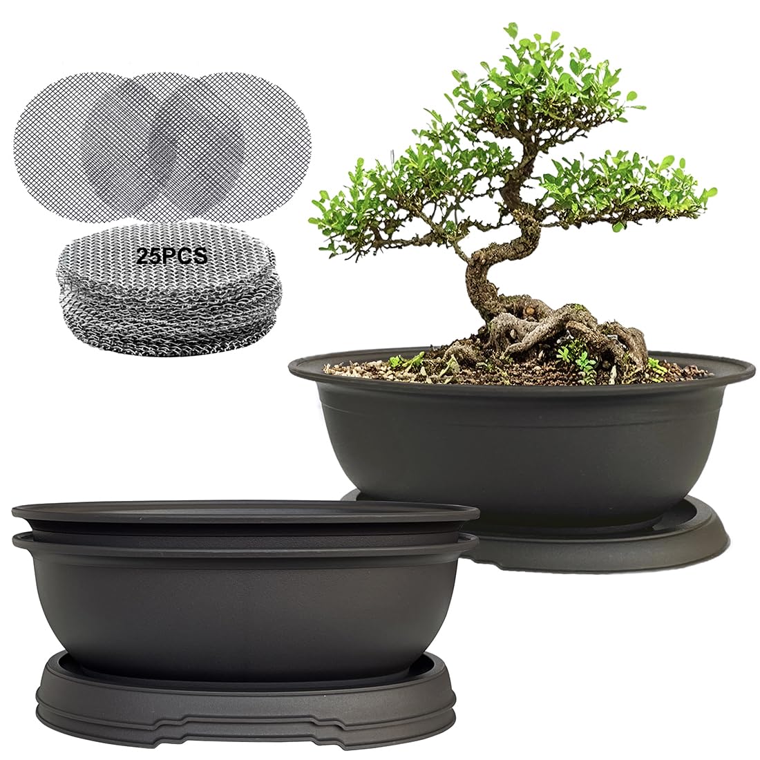 MUZHI 3-pack oval bonsai pots top view with matte finish for seedlings.