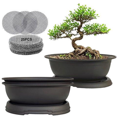 MUZHI 3-pack oval bonsai pots top view with matte finish for seedlings.