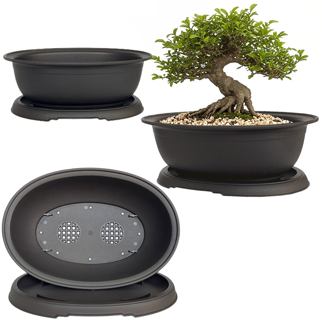 MUZHI 3-pack oval bonsai pots with matte finish for stylish home display and drainage