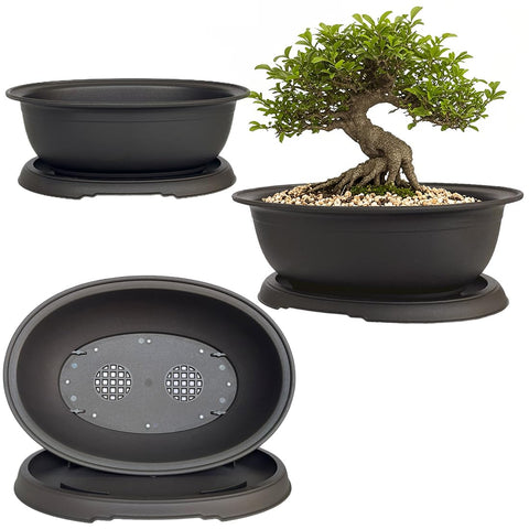 MUZHI 3-pack oval bonsai pots with matte finish for stylish home display and drainage