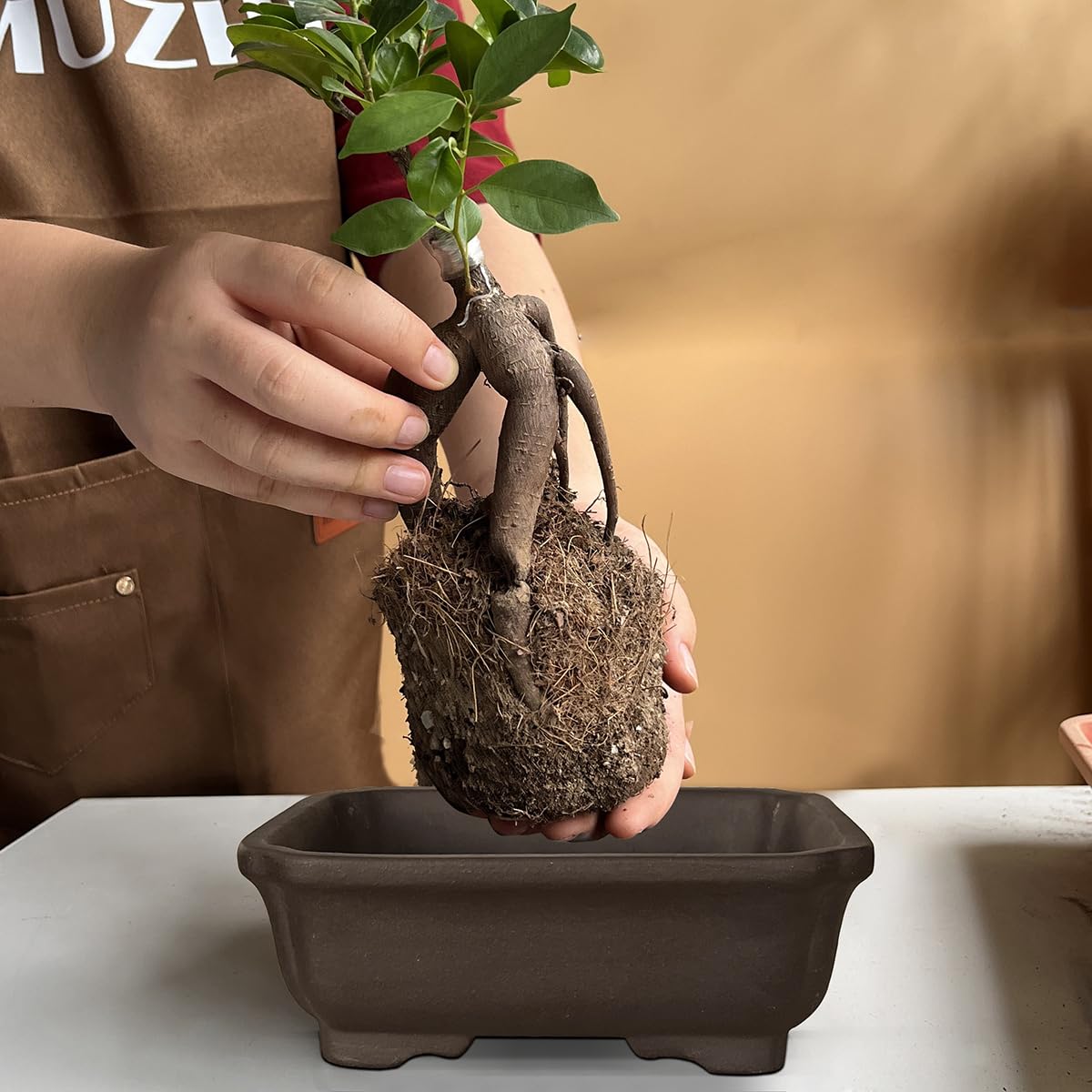 MUZHI 2PACK includes mesh pads and plastic trays to support plant health.