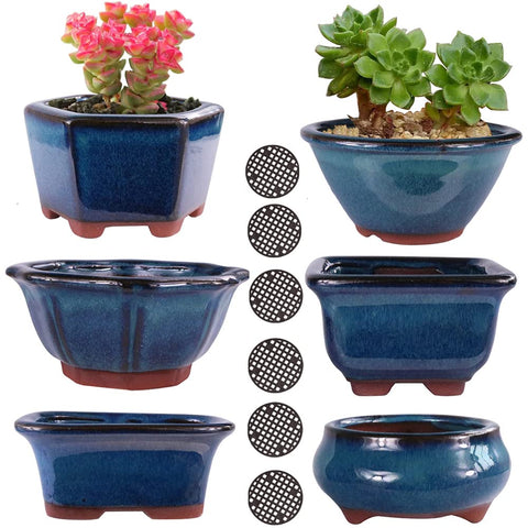 MUZHI 6PACK glazed bonsai pot 3-inch with raised feet for better drainage