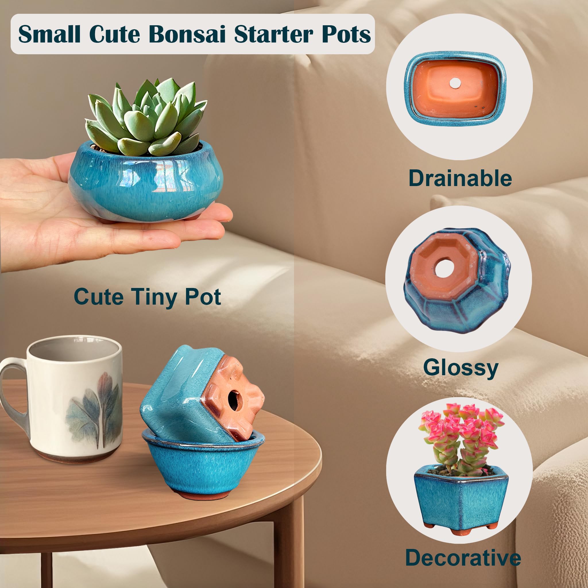 MUZHI 6PACK glazed bonsai pot 4-inch ideal for small succulents