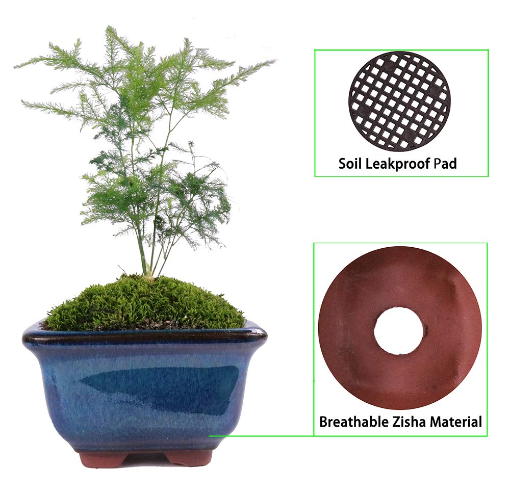 MUZHI 6PACK Yixing-style glaze adds refined home decor