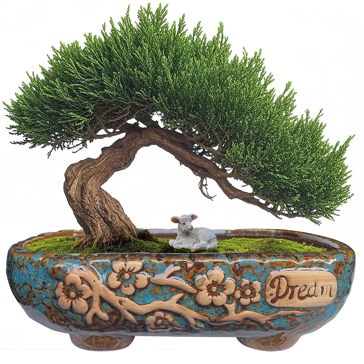 MUZHI 9.5-inch rectangular ceramic bonsai planter with drip tray for tidy watering