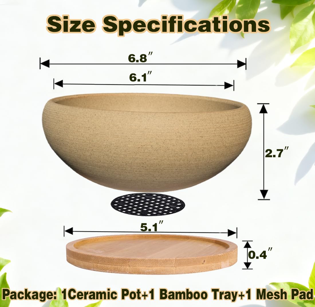 MUZHI bamboo tray paired with bonsai pot for neat drainage