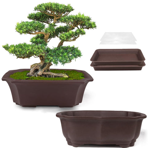 MUZHI bonsai planter 8-inch back view with drainage holes for healthy roots
