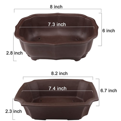MUZHI two-planter pack side-by-side display for versatile arrangement