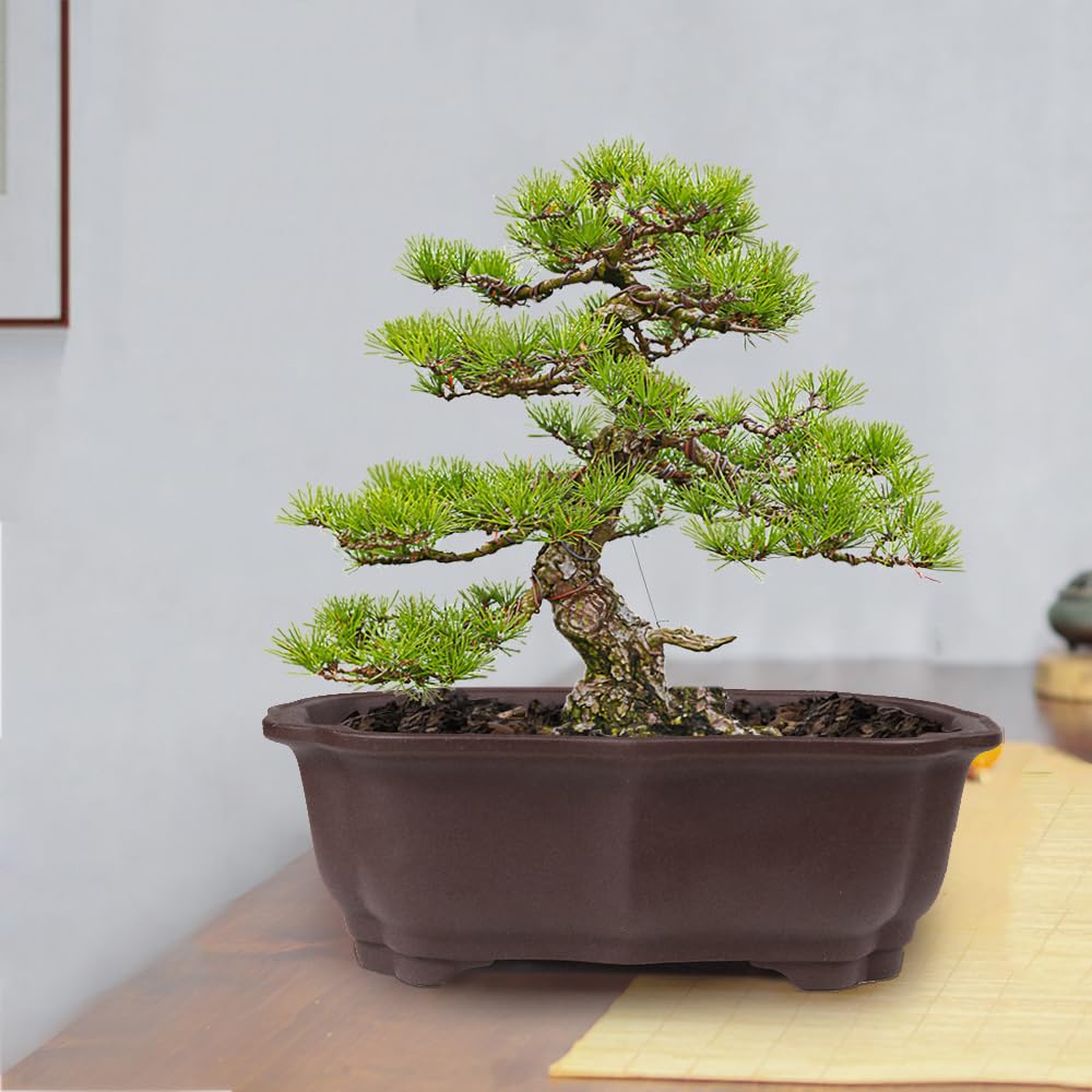 MUZHI planter four raised feet for improved airflow and stability