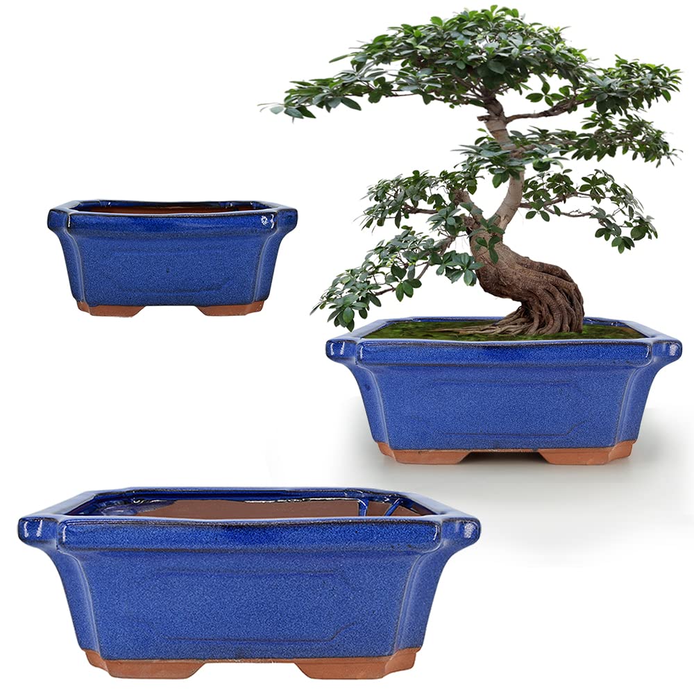 MUZHI bonsai pot blue glazed 6in with mesh screen for drainage.